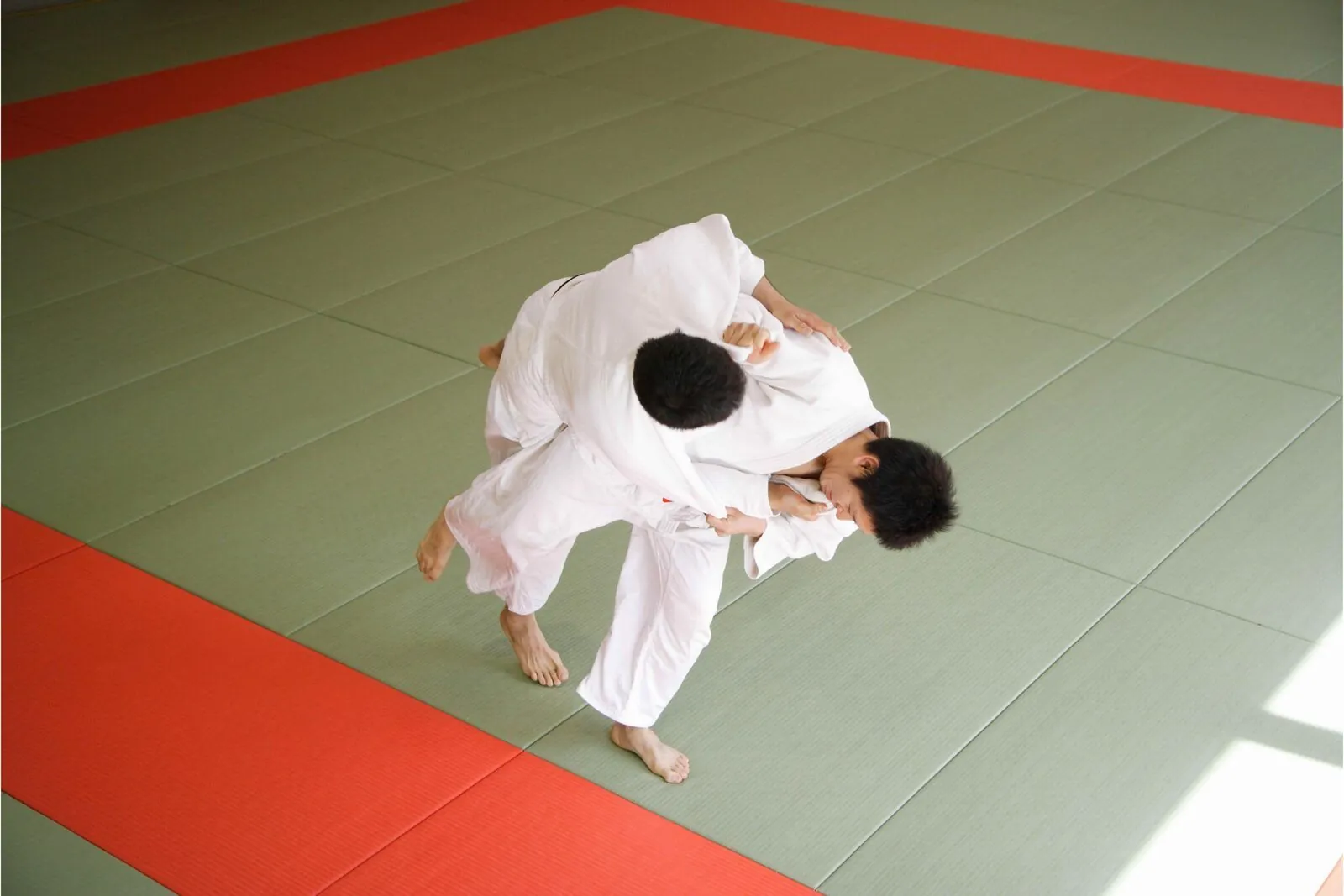 Aikido Training Perleberg
