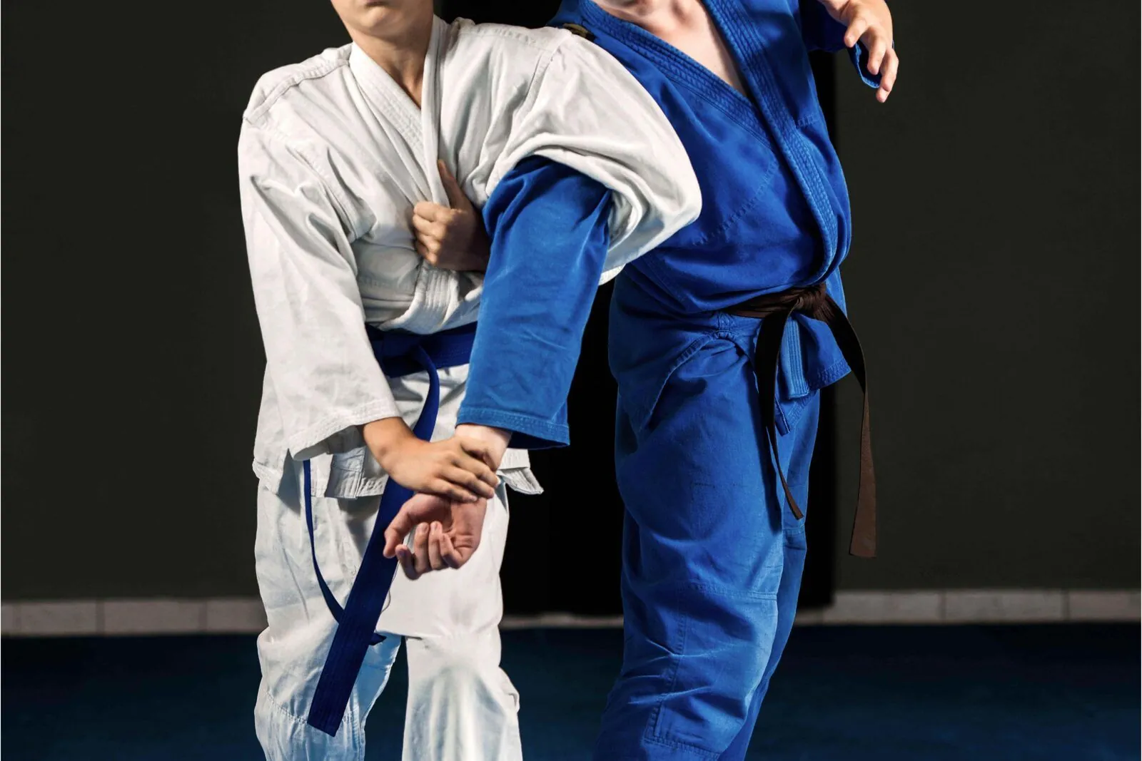 Aikido-Technik beim SV Blau-Weiß Perleberg