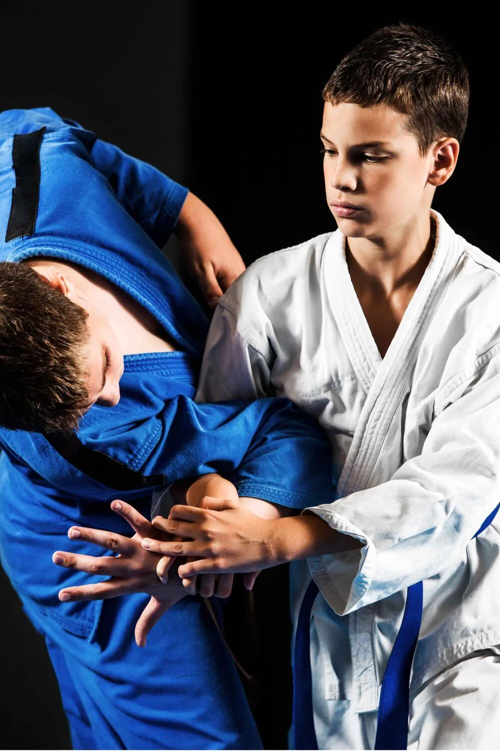 Aikido Haltung