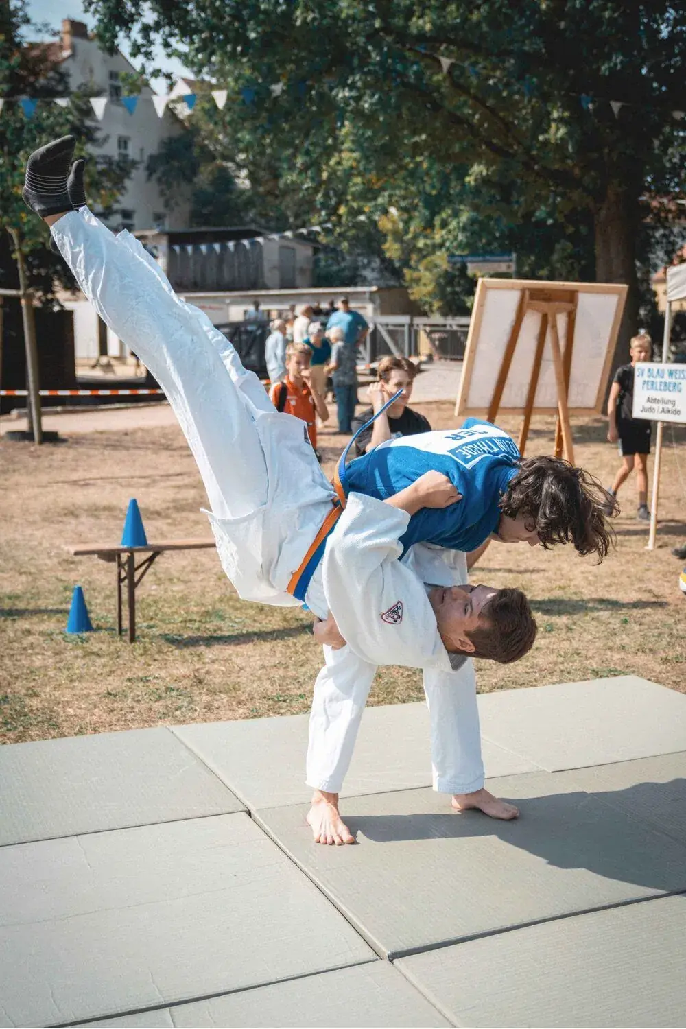 Judo Gürtel